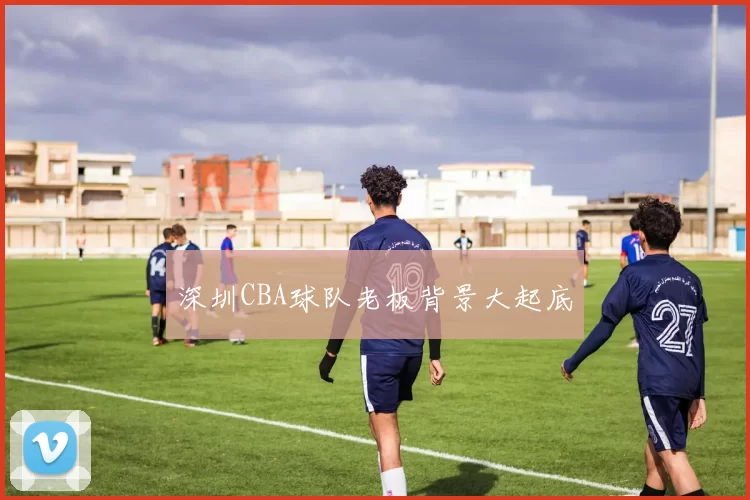 深圳CBA球队老板背景大起底