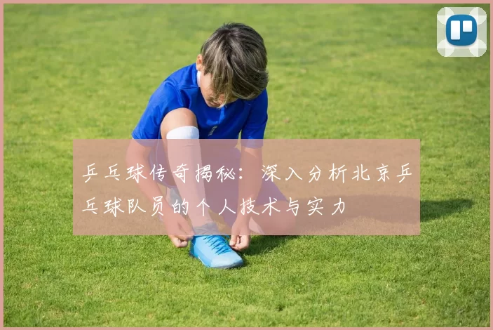乒乓球传奇揭秘：深入分析北京乒乓球队员的个人技术与实力