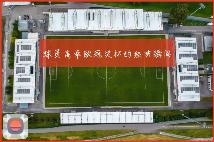 球员高举欧冠奖杯的经典瞬间