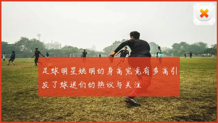 足球明星姚明的身高究竟有多高引发了球迷们的热议与关注