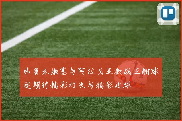 弗鲁米嫩塞与阿拉戈亚激战正酣球迷期待精彩对决与精彩进球