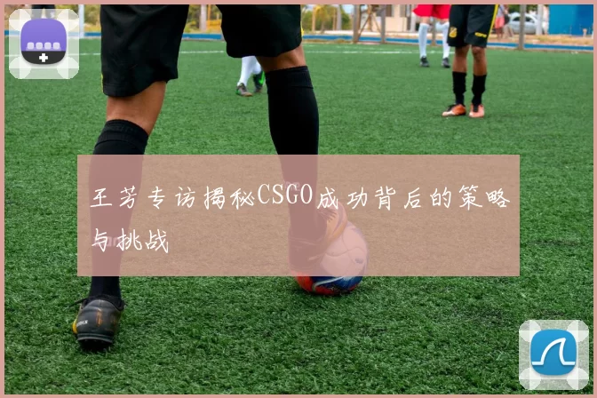 王芳专访揭秘CSGO成功背后的策略与挑战