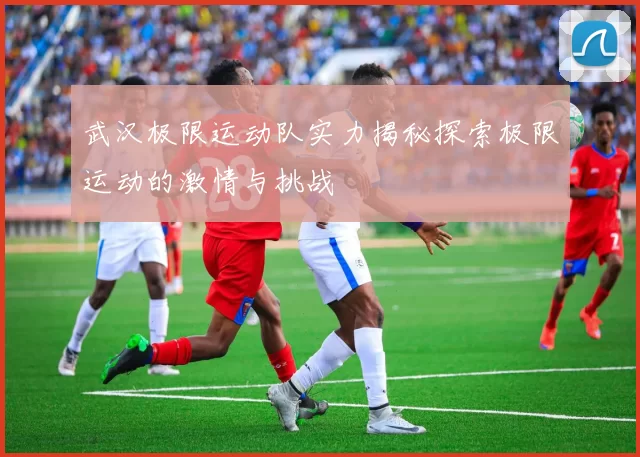 武汉极限运动队实力揭秘探索极限运动的激情与挑战