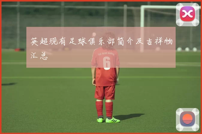 英超现有足球俱乐部简介及吉祥物汇总