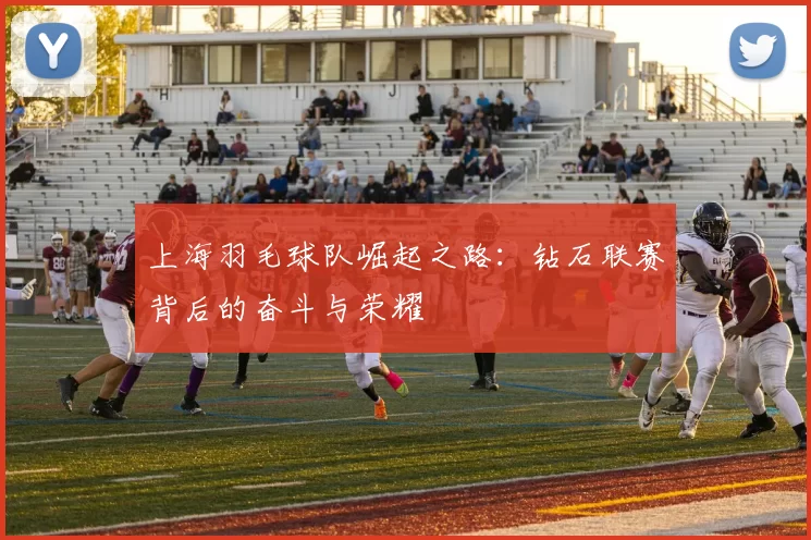 上海羽毛球队崛起之路：钻石联赛背后的奋斗与荣耀