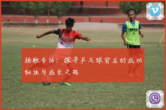 杨敏专访：探寻乒乓球背后的成功秘诀与成长之路