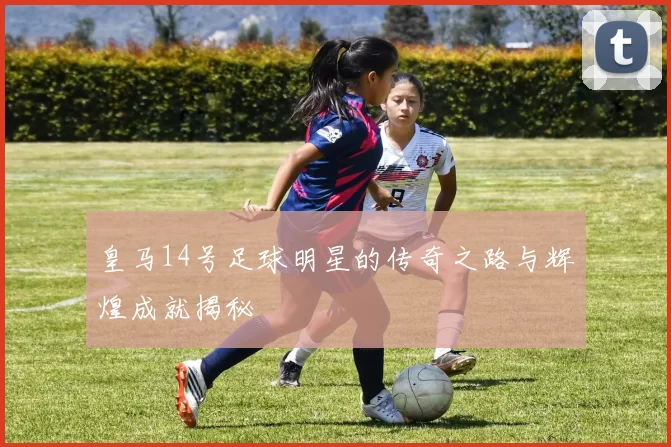 皇马14号足球明星的传奇之路与辉煌成就揭秘