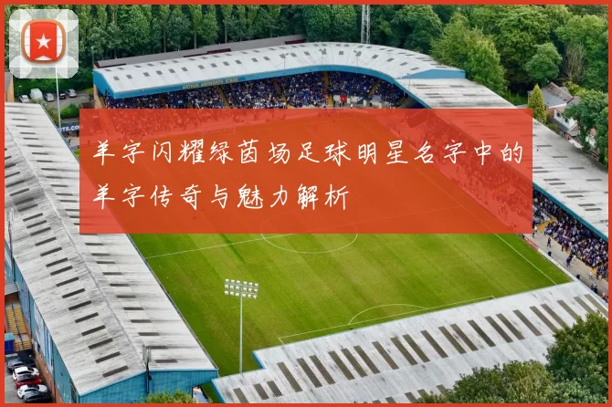 羊字闪耀绿茵场足球明星名字中的羊字传奇与魅力解析