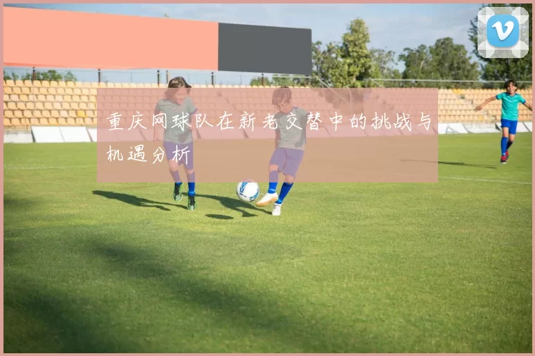 重庆网球队在新老交替中的挑战与机遇分析