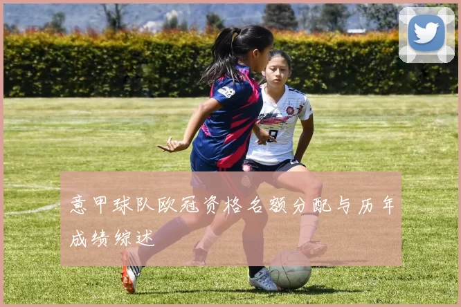 意甲球队欧冠资格名额分配与历年成绩综述