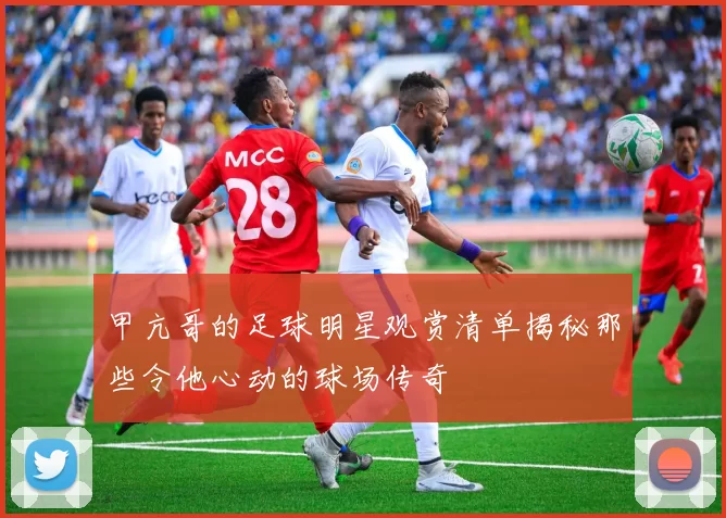 甲亢哥的足球明星观赏清单揭秘那些令他心动的球场传奇