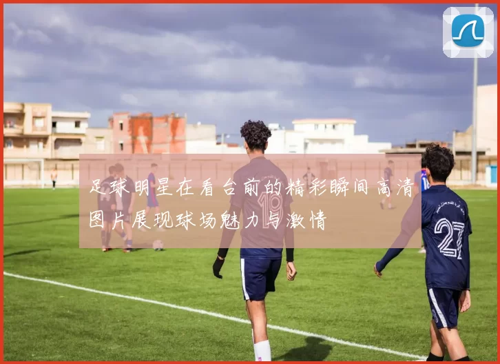 足球明星在看台前的精彩瞬间高清图片展现球场魅力与激情