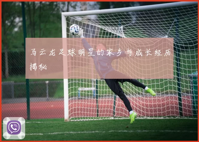 马云龙足球明星的家乡与成长经历揭秘
