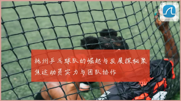 杭州乒乓球队的崛起与发展探秘聚焦运动员实力与团队协作