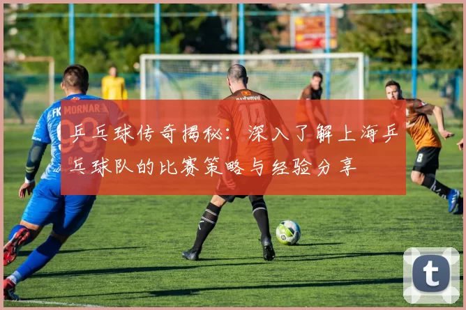 乒乓球传奇揭秘：深入了解上海乒乓球队的比赛策略与经验分享