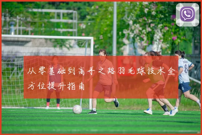 从零基础到高手之路羽毛球技术全方位提升指南