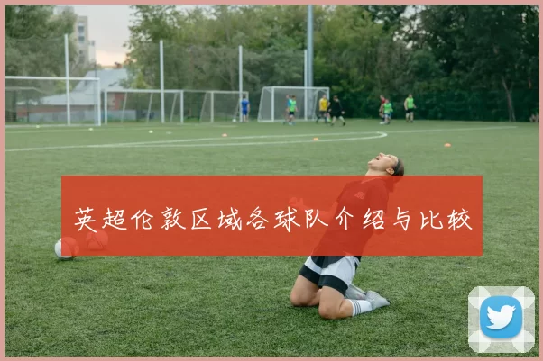 英超伦敦区域各球队介绍与比较