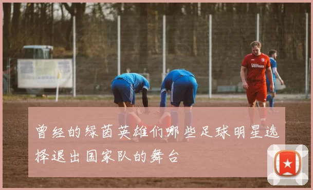 曾经的绿茵英雄们哪些足球明星选择退出国家队的舞台