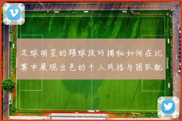 足球明星的踢球技巧揭秘如何在比赛中展现出色的个人风格与团队配合