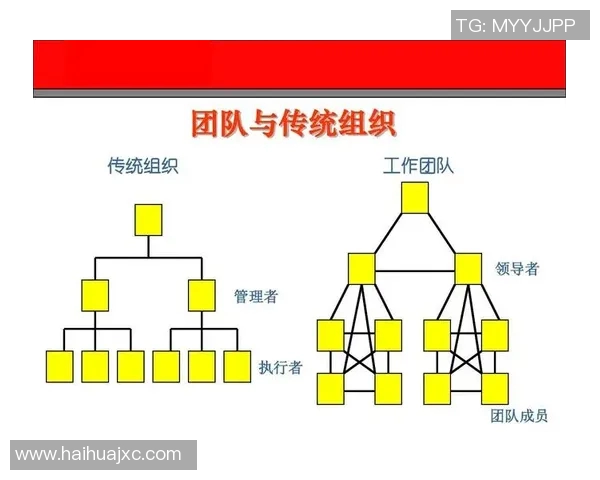南京排球队团队协作深度解析与其他球队的对比研究