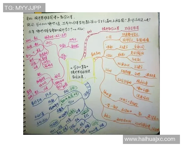 飞盘与梦想交织的旅程：吴敏的深度对话与人生启示