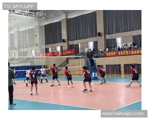 成都排球队的默契配合与战术探讨聚焦排球的团队精神与协作能力