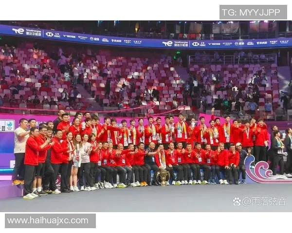 羽毛球纪实：见证北京羽毛球队转型与发展的历程与挑战