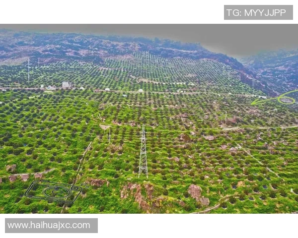 果园风光与生态种植结合的创新发展路径探索及实践意义分析